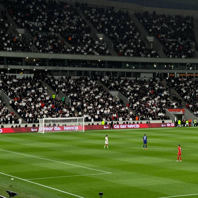 post_img_1781974388_2472
